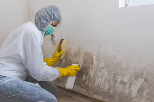 Mold Remediation for Vacation Homes in Haworth, NJ