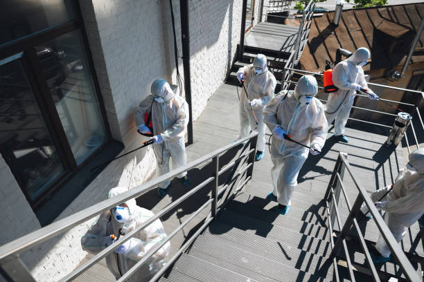 Best Post-Construction Mold Inspection  in Haworth, NJ