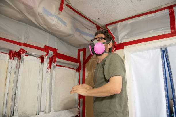 Best Mold-Related Health Consultation  in Haworth, NJ