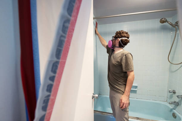 Best Environmental Consulting for Mold Prevention  in Haworth, NJ