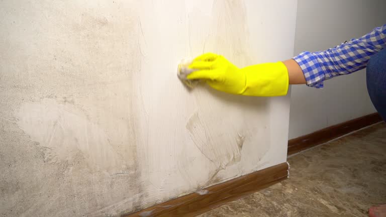 Best Residential Mold Inspection & Testing  in Haworth, NJ