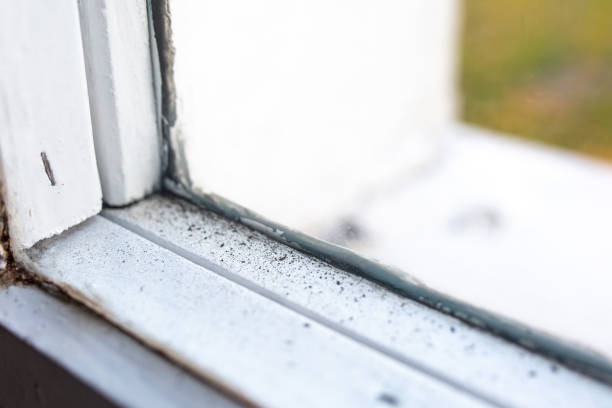 Best Real Estate Mold Inspection  in Haworth, NJ