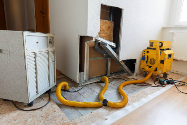 Best Crawl Space Mold Remediation  in Haworth, NJ
