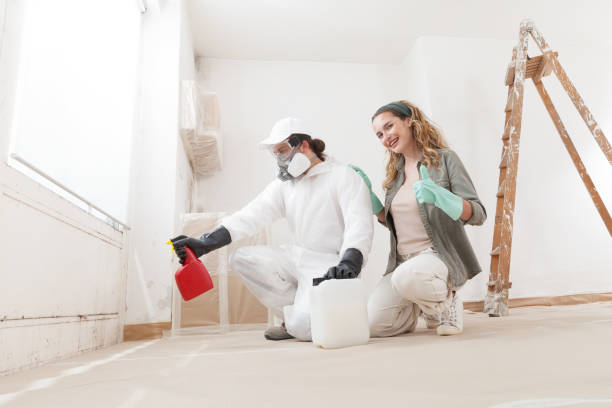 Best Asbestos and Lead Testing During Mold Inspection  in Haworth, NJ