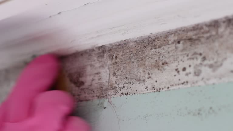 Best Air Quality Testing for Mold Spores  in Haworth, NJ
